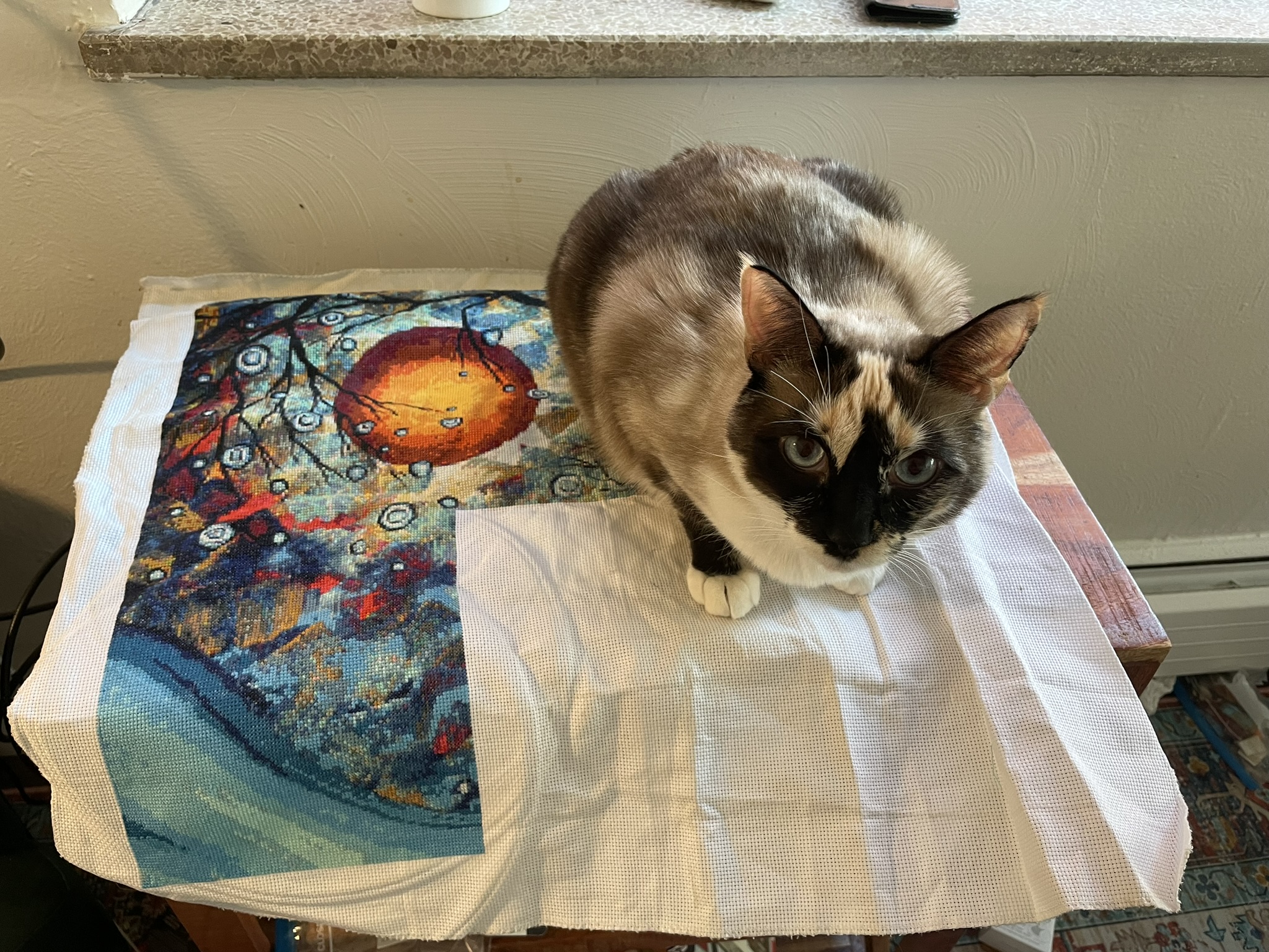 A seal-point calico cat sitting on a half-finished cross stitch. The cross stitch features a dark orange sun, black tree branches, and mysterious blue lighting.